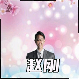 赵刚
